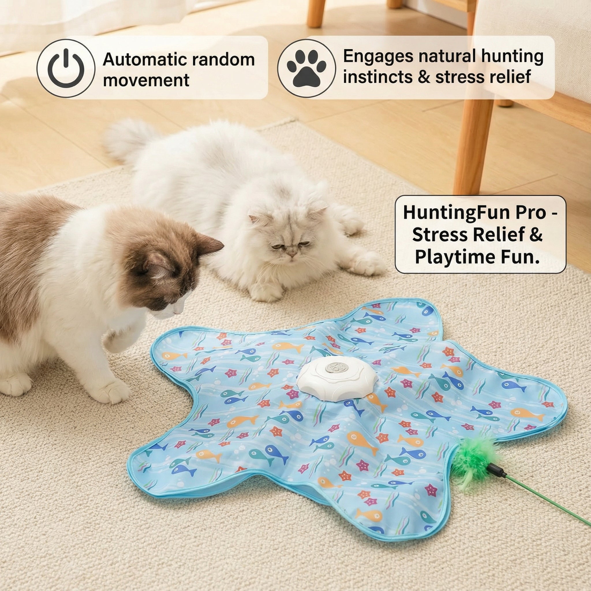 Interactive Star Cat Toy – Chew & Hunting Enrichment Toy